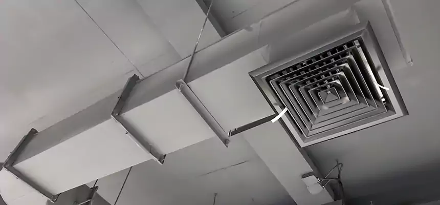 Our Pest Removal From Ducts Services in Fitchburg, MA