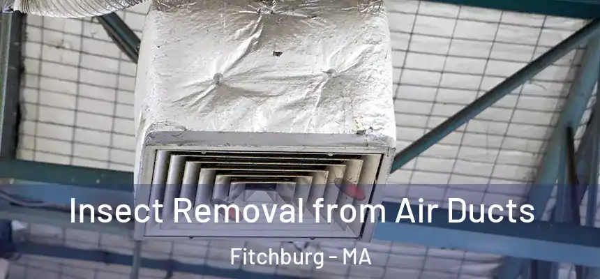  Insect Removal from Air Ducts Fitchburg - MA