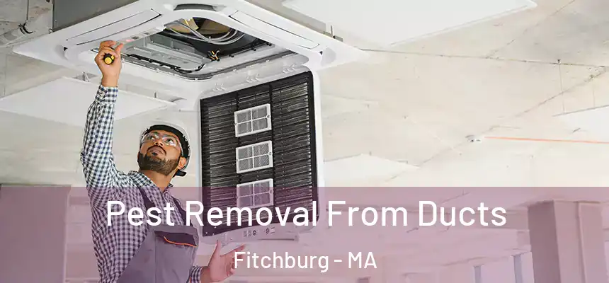  Pest Removal From Ducts Fitchburg - MA