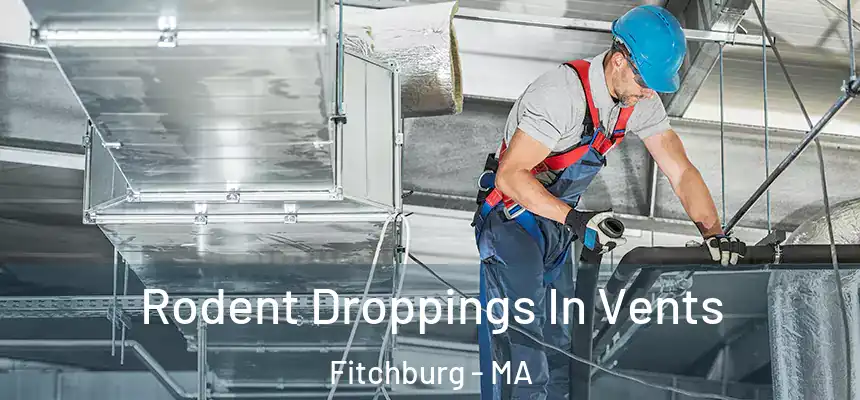  Rodent Droppings In Vents Fitchburg - MA