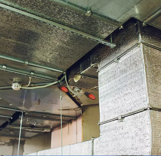 Why Homeowners & Businesses Trust Us in Fitchburg, MA?